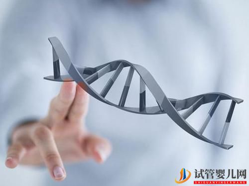 試管嬰兒在各個階段該做什么準備(圖1)