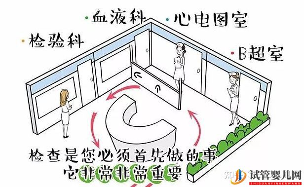 試管嬰兒男女雙方需要做的檢查項目及注意事項!(圖1)