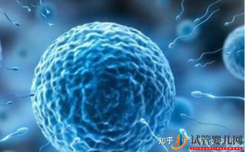 試管嬰兒男人是如何取精的_一般大家喜歡用這2種方法(圖1)