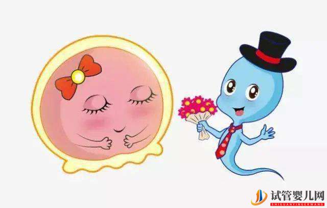 銅仁三代試管養囊成功的比例大概是多少？(圖1)