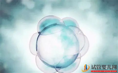  都勻三代試管取卵后要多少天才可以進(jìn)行移植(圖1)