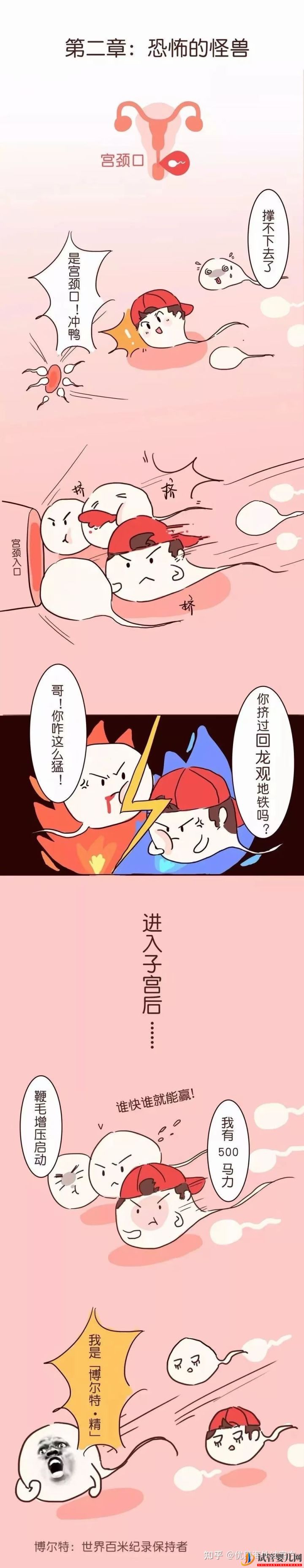 三代試管嬰兒選性別(圖2)