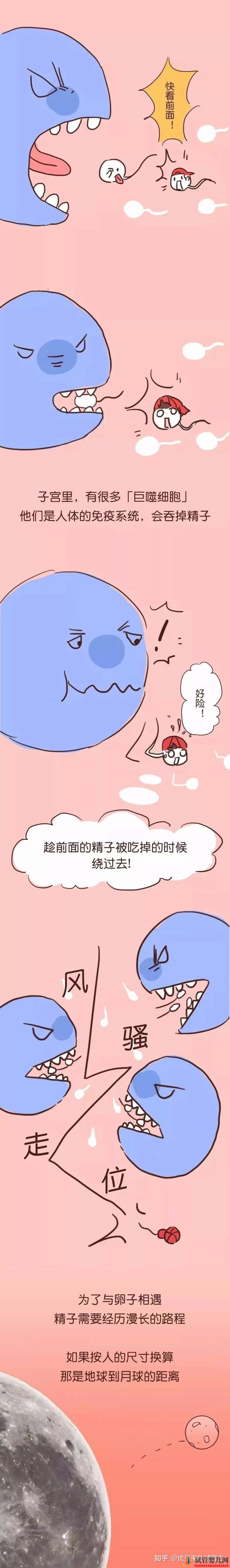 三代試管嬰兒選性別(圖3)