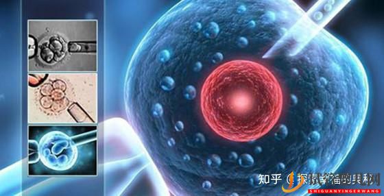 做一次試管嬰兒有哪些流程(圖3)