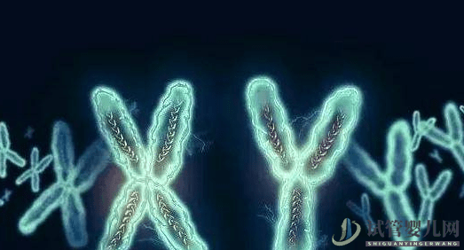 MDS有染色體異常是不是很難治？(圖1)