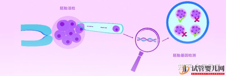 第三代試管可以篩選哪些遺傳病,第三代試管能避免遺(圖3)