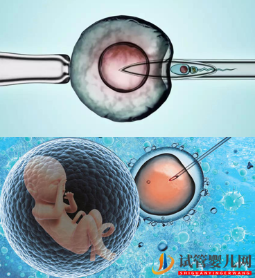 第三代試管嬰兒的利弊有哪些？(圖1)