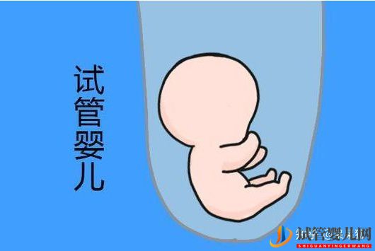 第三代試管嬰兒的流程及費用標準怎么樣(圖1)