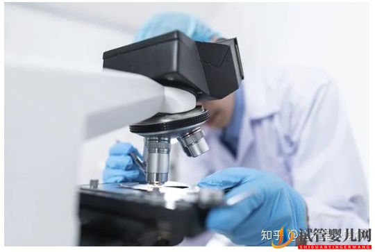 第三代試管嬰兒完美解決染色體異常(圖5)