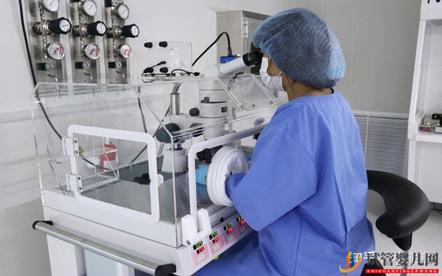 第三代試管嬰兒流程咋樣,需要耗時多久(圖4)