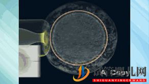 第三代試管嬰兒真的最好最先進嗎_國內哪里可以做(圖4)