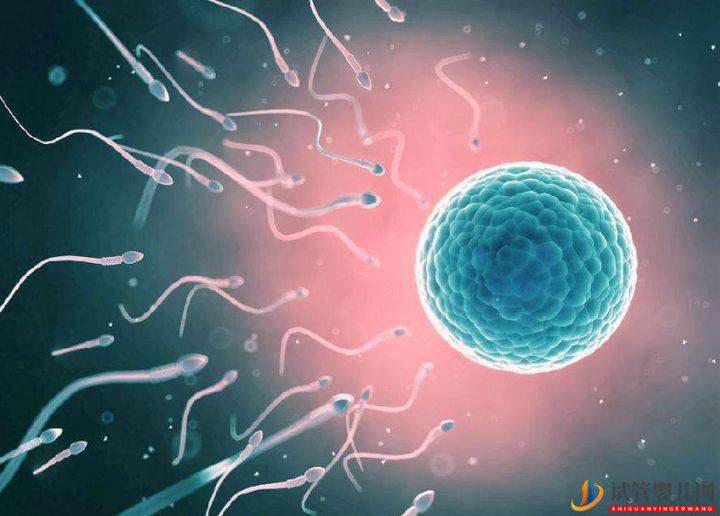 第三代試管嬰兒能避免哪些遺傳??？(圖1)