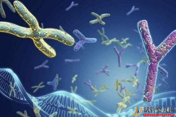 試管嬰兒網(wǎng):發(fā)生過胚胎染色體異常還能要寶寶嗎(圖1) 發(fā)生過胚胎染色體異常還能要寶寶嗎(圖1)