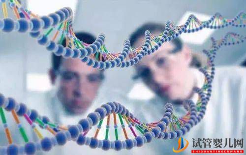 反復(fù)流產(chǎn)檢查什么？染色體平衡易位怎么辦？(圖2)