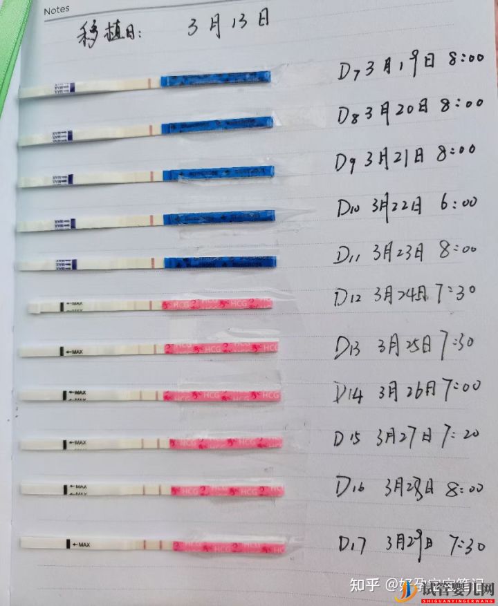 高齡不孕,做試管嬰兒一次成功的心得!經驗分享(圖2)