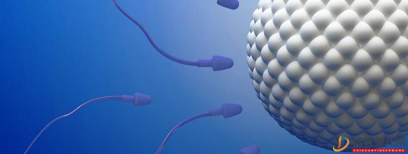 高齡女性試管生育的希望有多大？看看這些過來人(圖1)