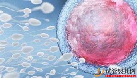 廣州有能做供卵三代試管嬰兒的私立醫院嗎(圖3)