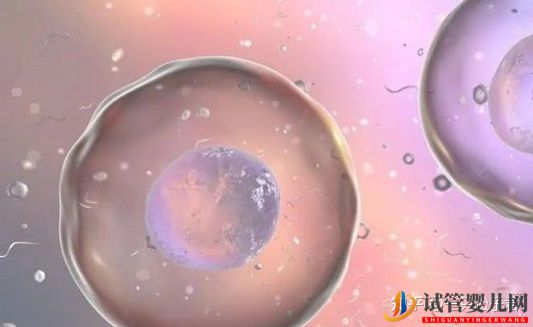 廣州有能做供卵三代試管嬰兒的私立醫院嗎(圖2)