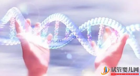 今天講解一下三代試管的基因篩查(圖1)