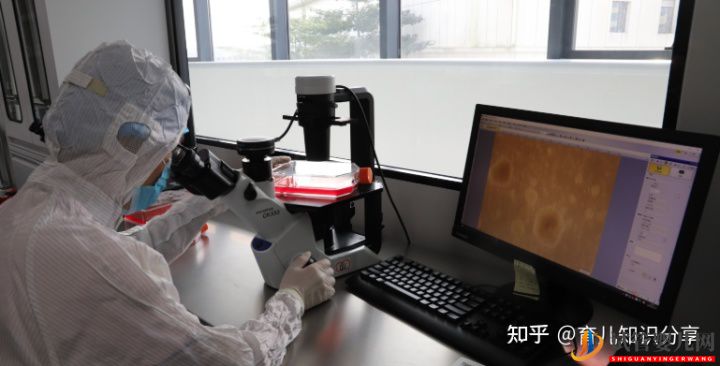 解析國(guó)內(nèi)做試管第三代大概需要多少錢(圖1)