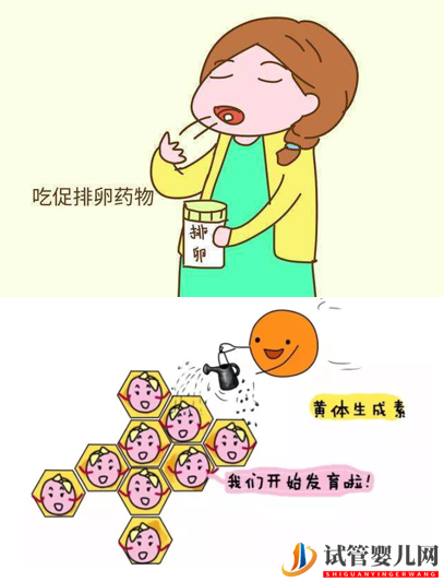 做試管嬰兒痛苦嗎？(圖1)