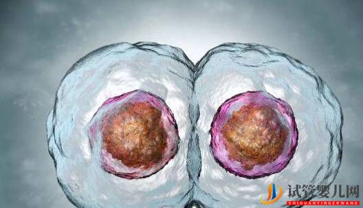 做試管嬰兒卵子質量不好，怎么進行下去(圖1)