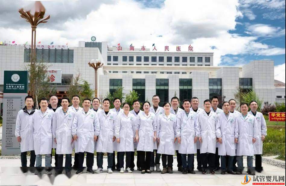 西藏自治區藏醫院(圖1)