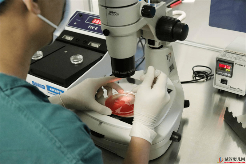 做試管嬰兒為什么要先做三次人工授精，而不是“一步到位”(圖1)