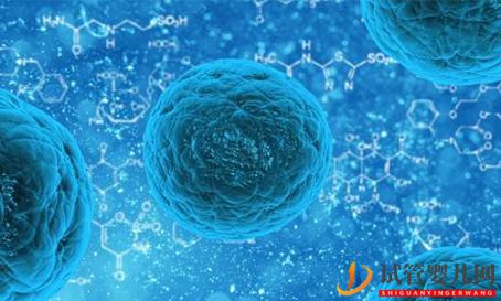 自然懷孕著床與試管嬰兒移植著床有區別嗎？(圖1)