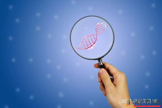 在廣州做第三代試管嬰兒大概要花多少錢_選擇不同價(圖1)