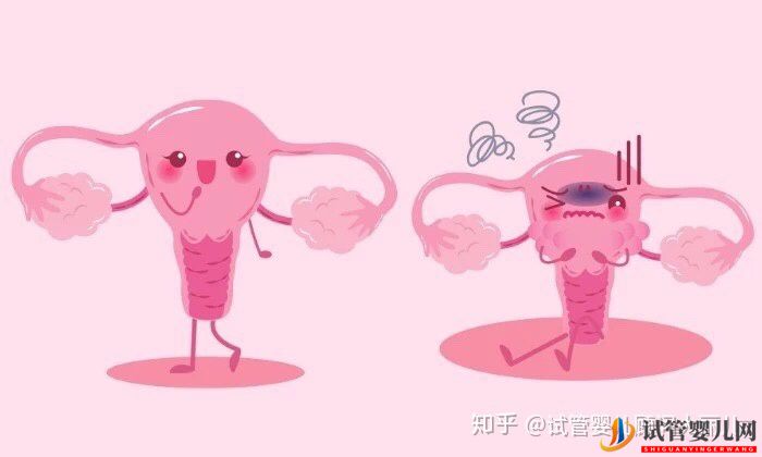 40多了,懷孕的幾率還有多少_做供卵試管幾率又是多(圖3)