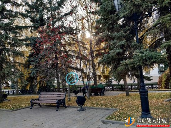 40歲高齡女性做試管嬰兒輔助生殖一次移植成功懷孕(圖4)