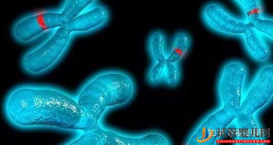 44歲人工授精成功率有多少_做到這3點,好孕找上門(圖4)