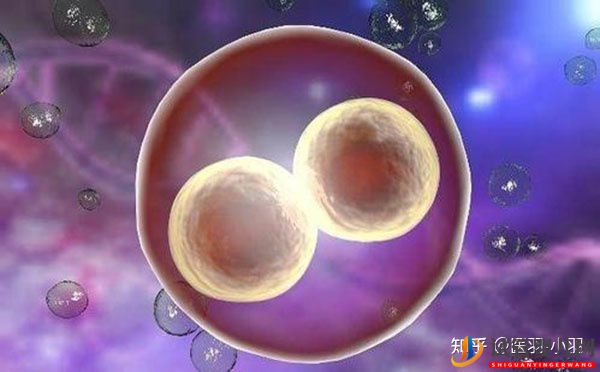 40歲以后做試管嬰兒成功率有多少(圖2)