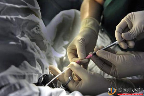 40歲以后做試管嬰兒成功率有多少(圖3)