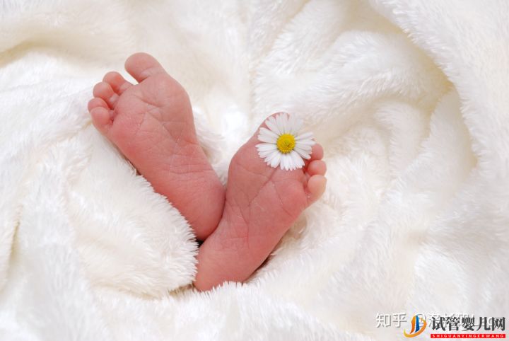 大齡做試管還有機(jī)會嗎_美國試管大齡女性必須了解的(圖4)