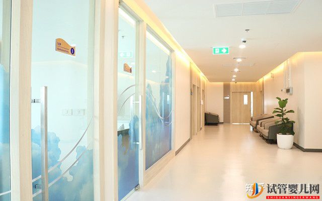 三代試管嬰兒怎么收費的附價目表(圖2)