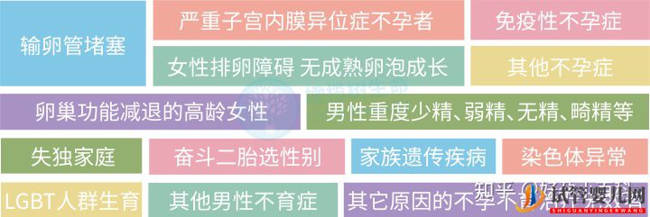 什么是三代試管嬰兒第三代試管嬰兒成功率高(圖5)