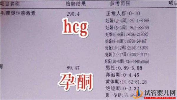 試管嬰兒移植后多久可以驗孕驗孕成功后多久可以測胎心(圖1)