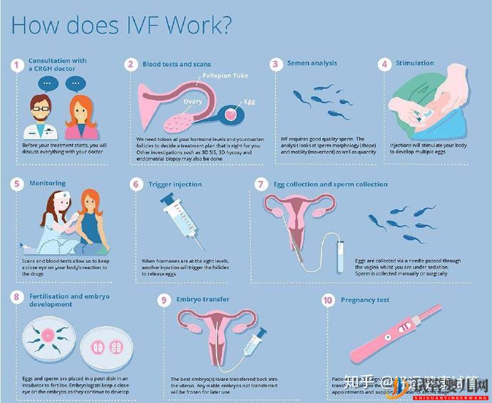 無家族遺傳病史的夫妻有必要做第三代試管(圖1)