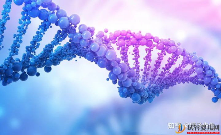 胚胎染色體異常究竟是什么原因(圖1)