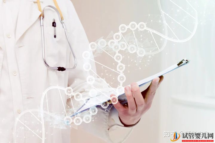 胚胎染色體異常究竟是什么原因(圖3)