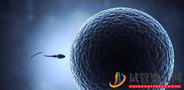 試管嬰兒發(fā)展歷程,試管“三代”的巨變(圖2)