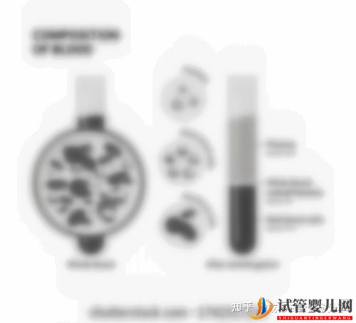 什么是試管與自然懷孕有什么區別嗎(圖2)