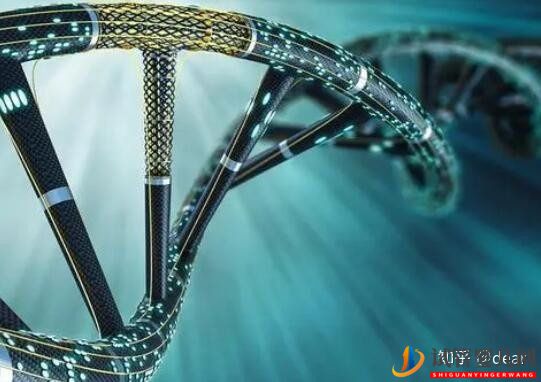 試管嬰兒網:試管移植囊胚成功率多少,如何調理增加成功率(圖1) 試管移植囊胚成功率多少,如何調理增加成功率(圖1)