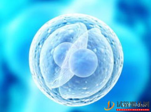 試管嬰兒網:試管移植囊胚成功率多少,如何調理增加成功率(圖11) 試管移植囊胚成功率多少,如何調理增加成功率(圖8)