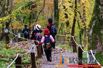 一個高齡婦女的試管之路(圖11)