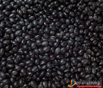 一個高齡婦女的試管之路(圖9)