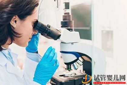 試管過程中影響成功率的關鍵是什么,鮮胚、凍胚(圖2)