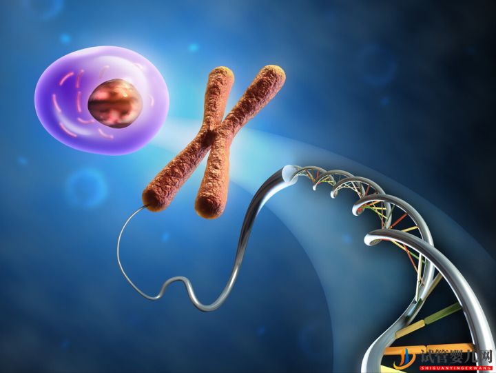 為什么會連續出現胚胎染色體問題,如何避免(圖5)